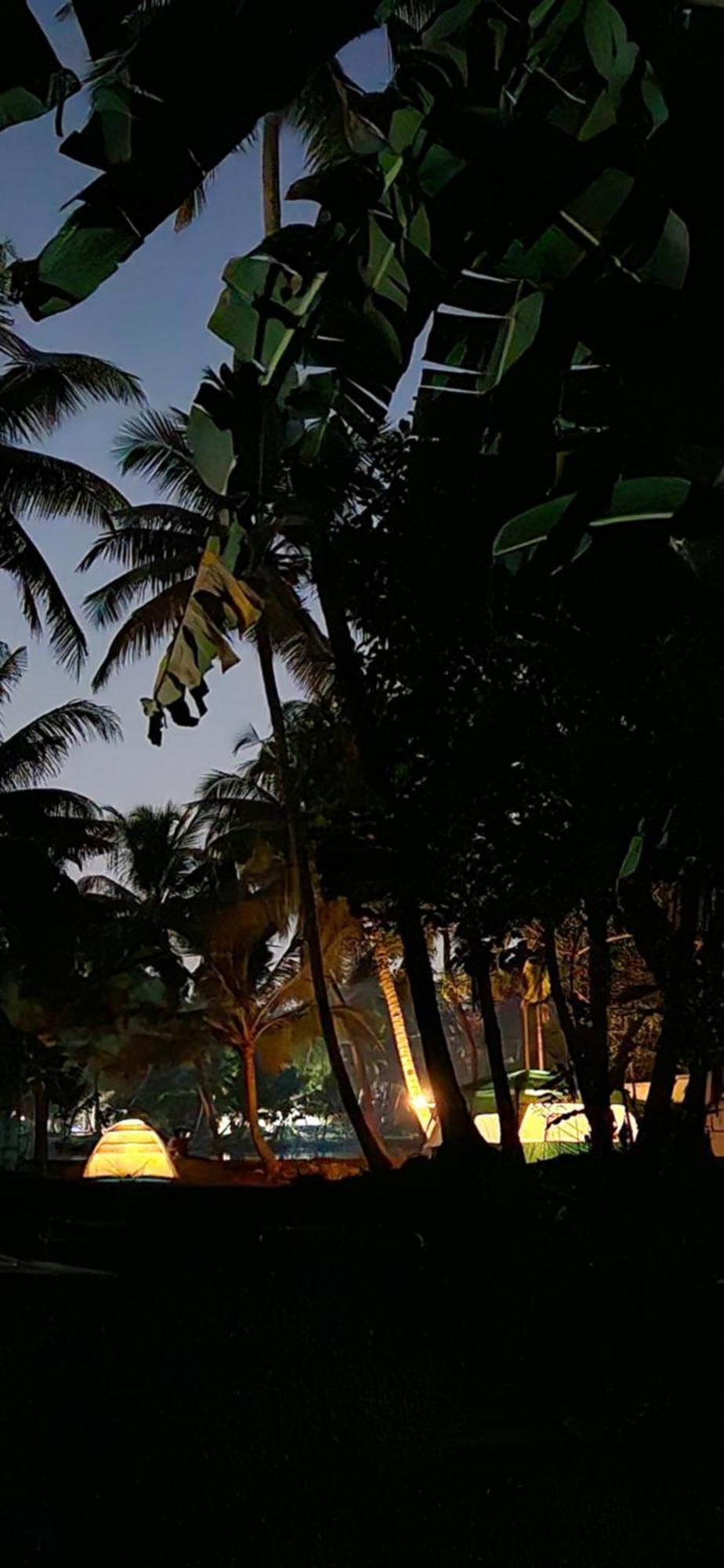 Homestay Islandstay-a Riverside