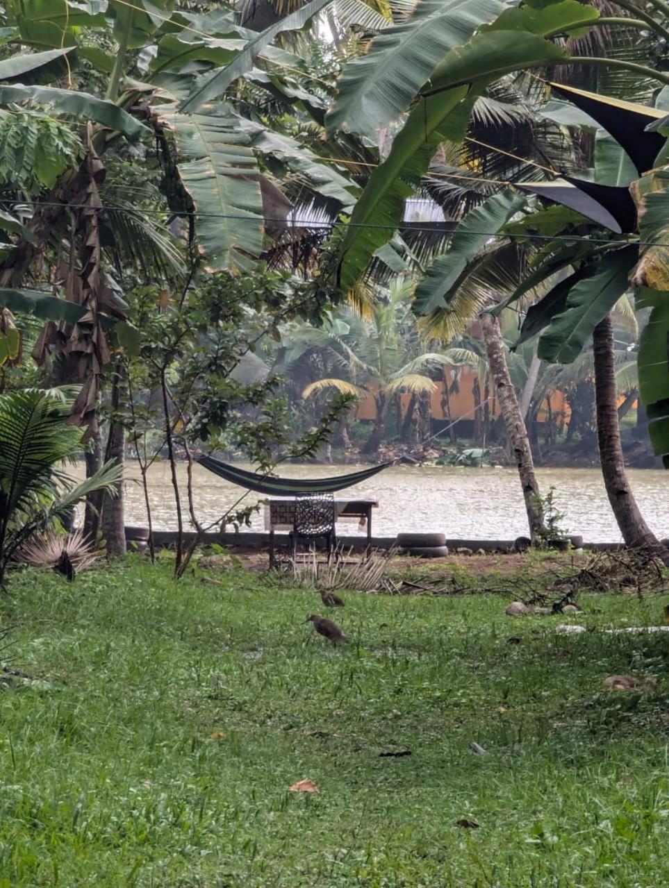 Homestay Islandstay-a Riverside